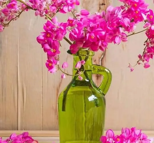 κατικια πάρος * Дриос